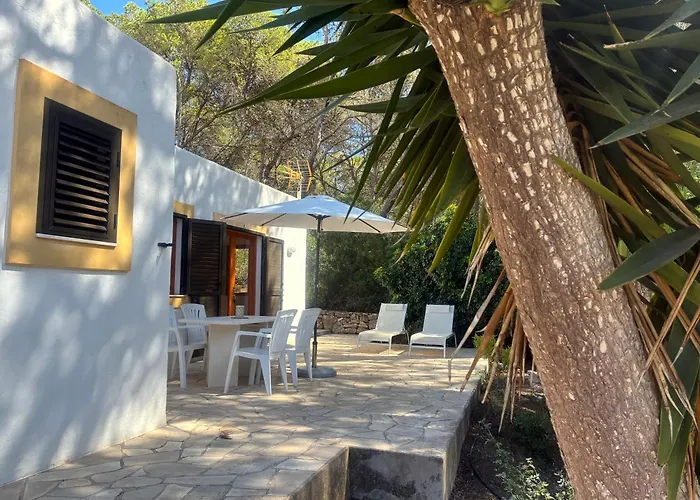 皮诺索公寓式酒店 *